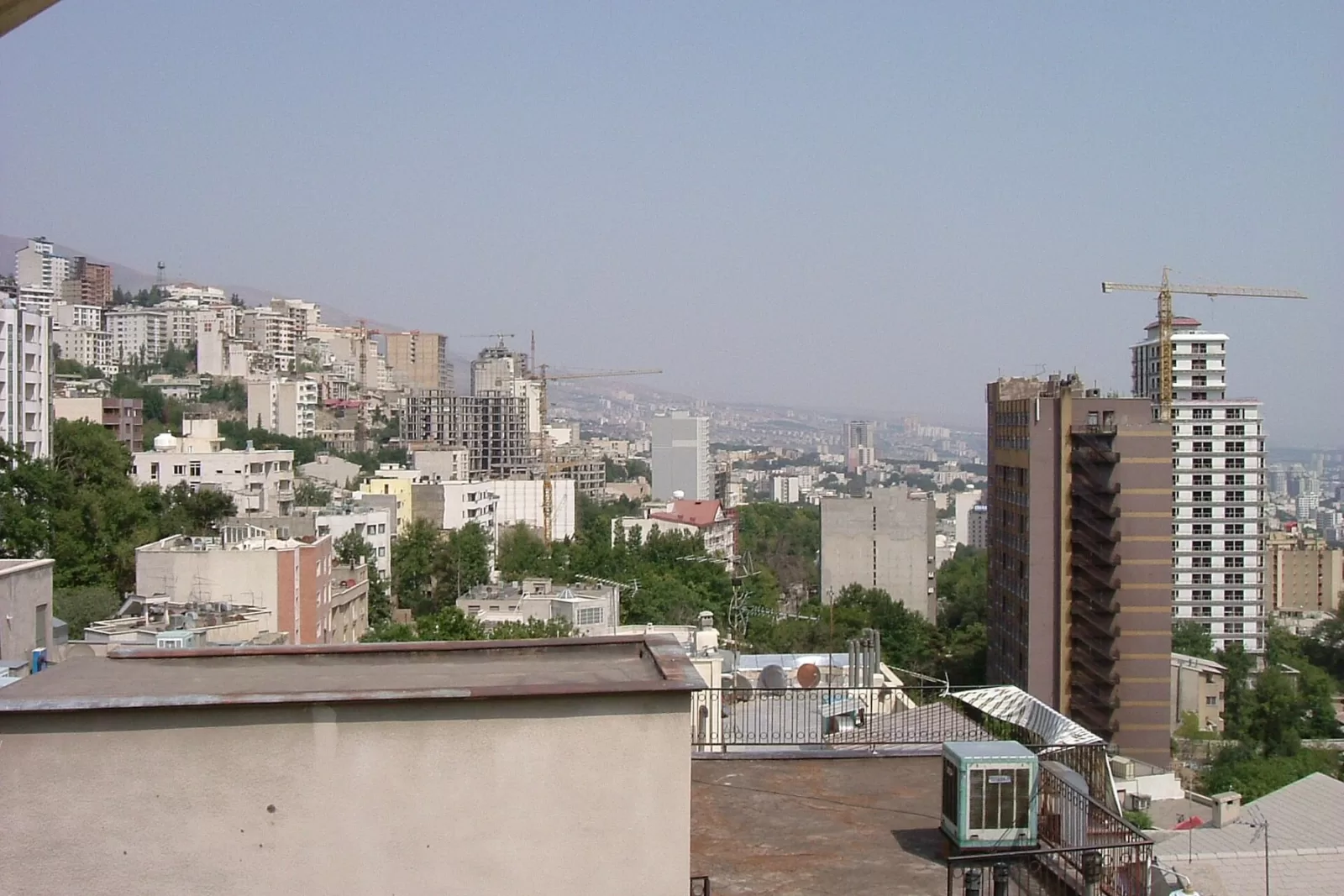 شهرداری